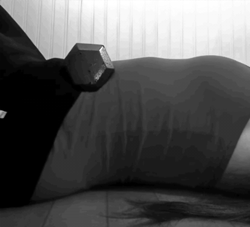 Diaphragm Extension exercise demonstration using 10-lb weight